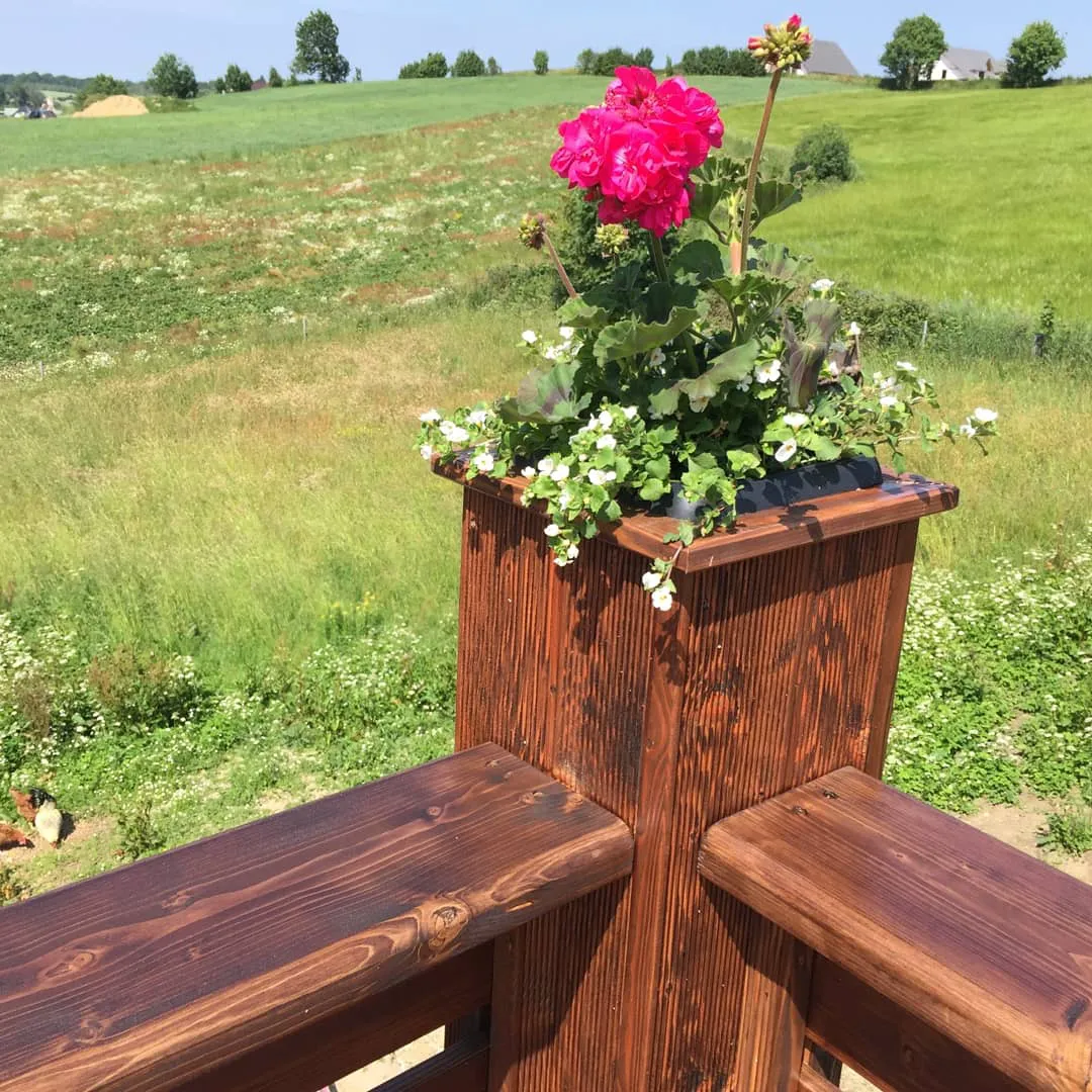 Drewniany taras z wbudowaną donicą i różowymi pelargoniami